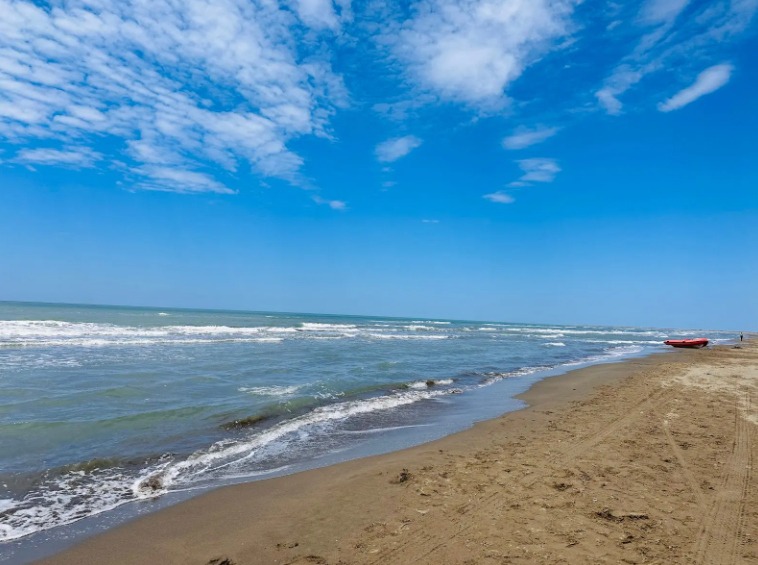 Darëzezë e Re, , Albania